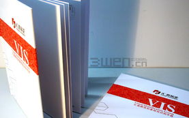 构建品牌视觉的统一语言 VI、VIS设计与企业形象规范全解析